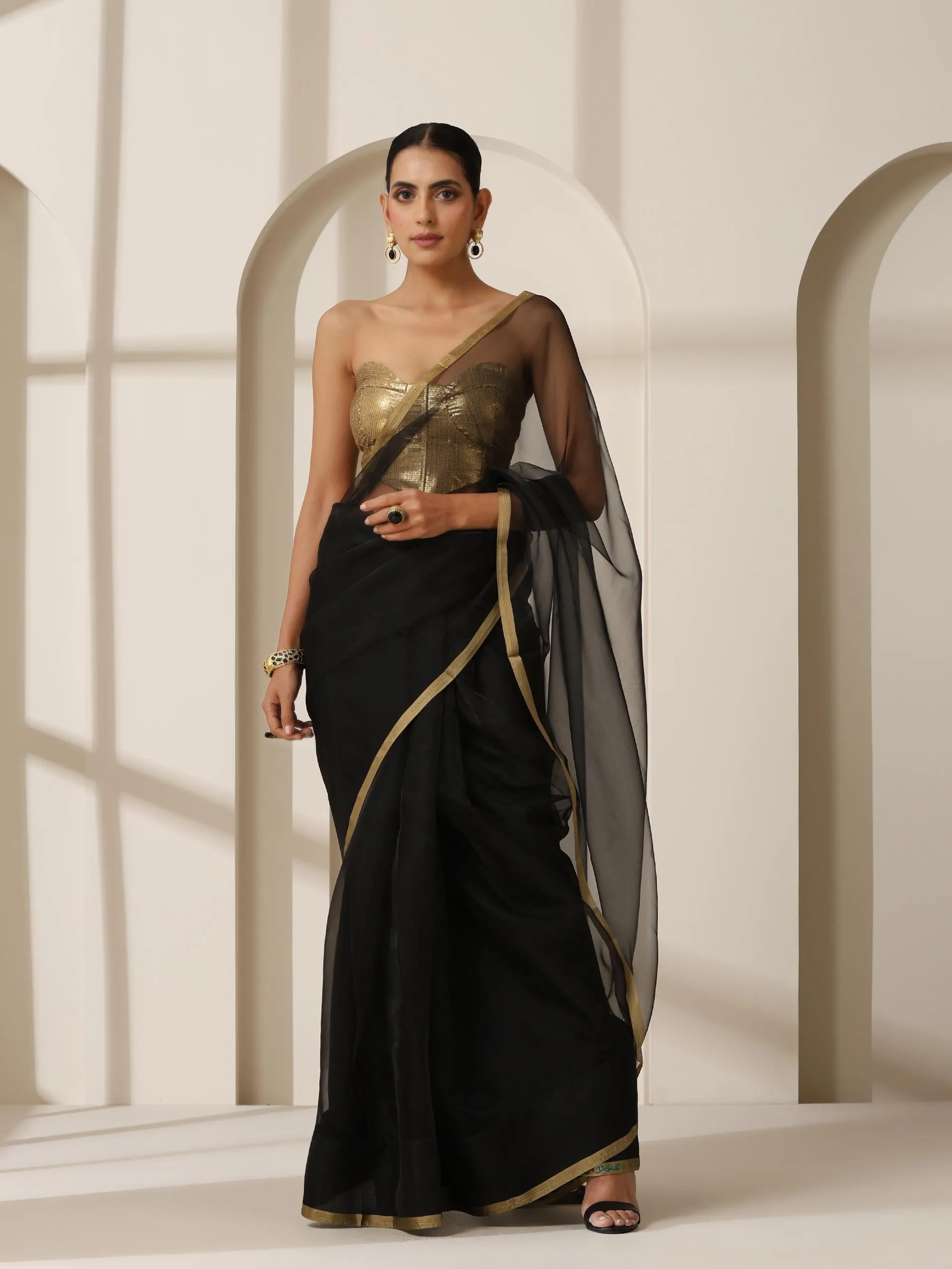 Black Cloud Organza Saree