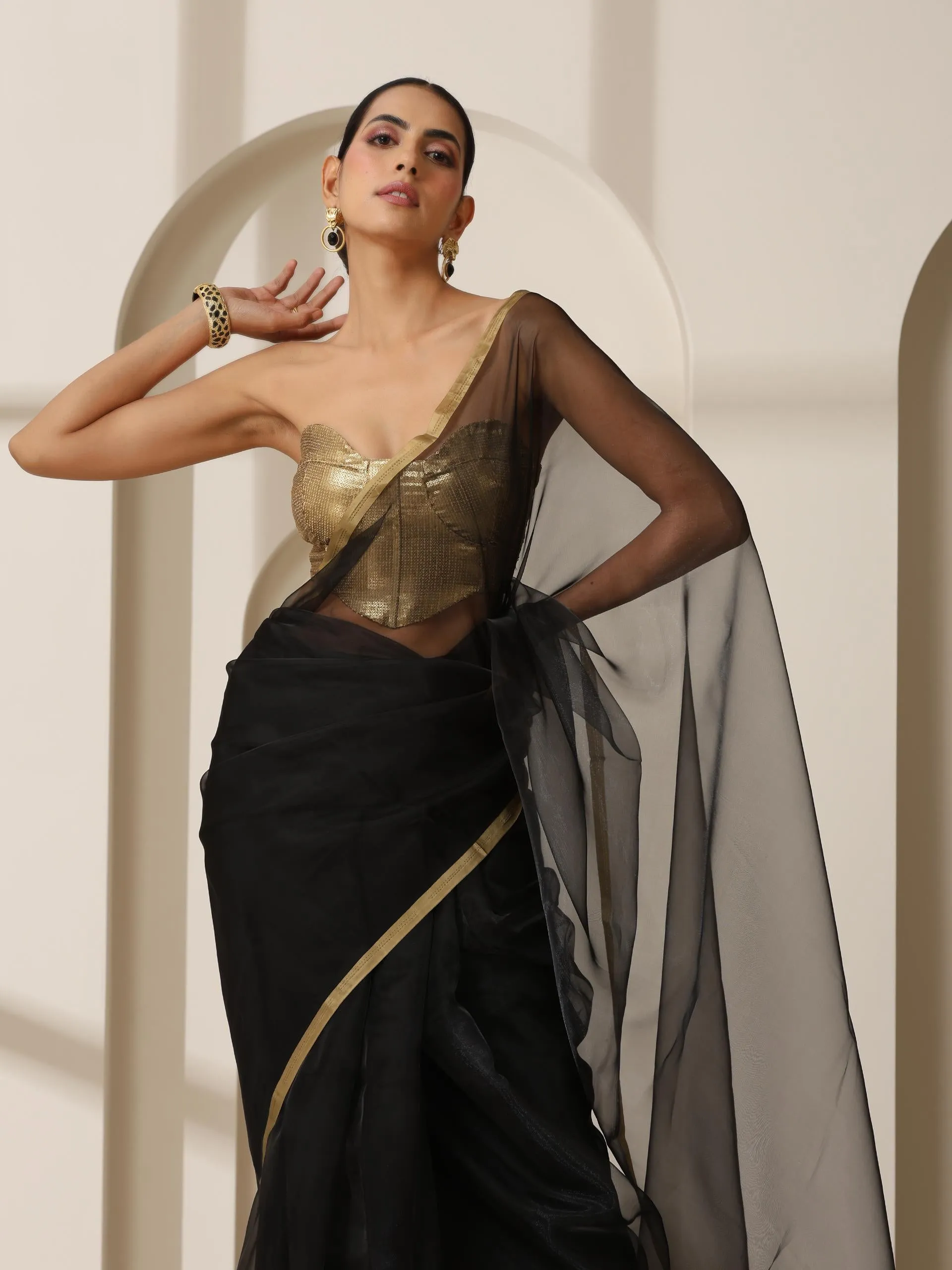 Black Cloud Organza Saree
