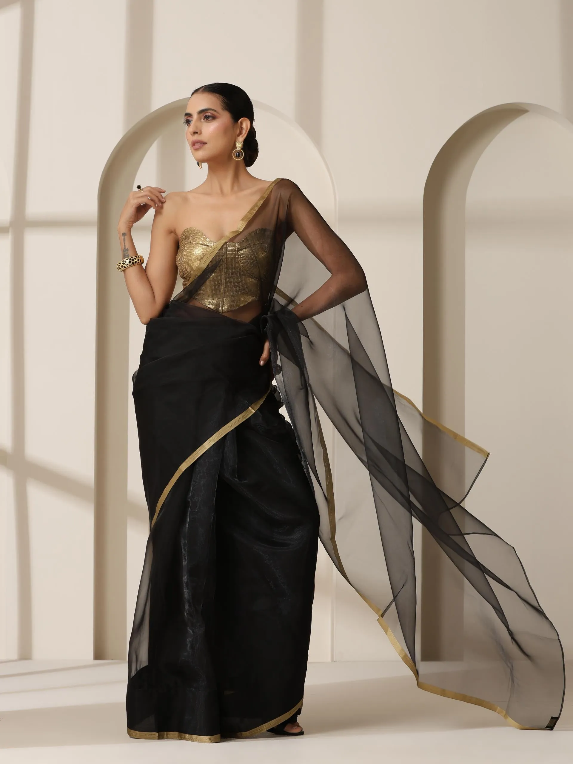 Black Cloud Organza Saree
