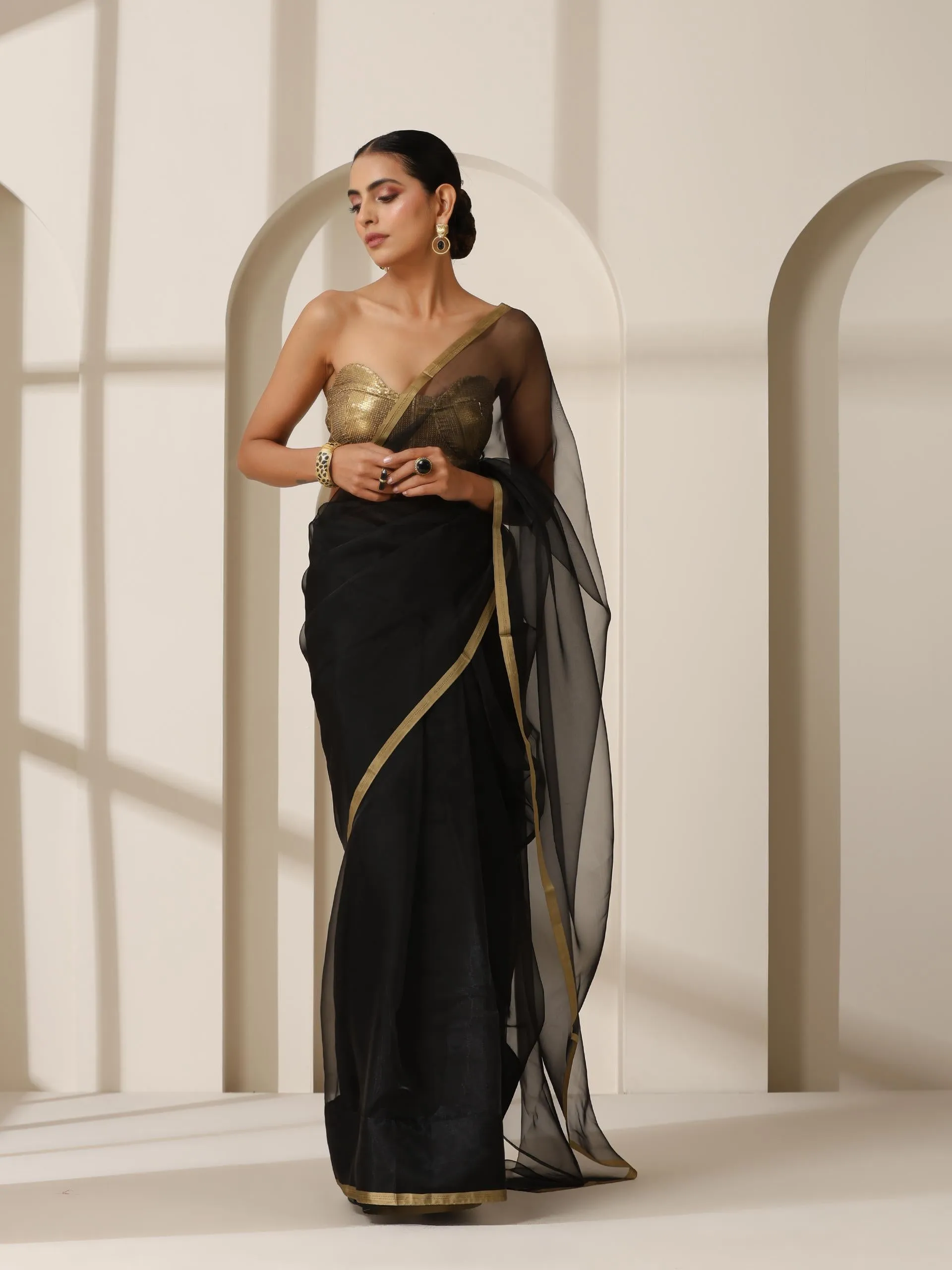 Black Cloud Organza Saree