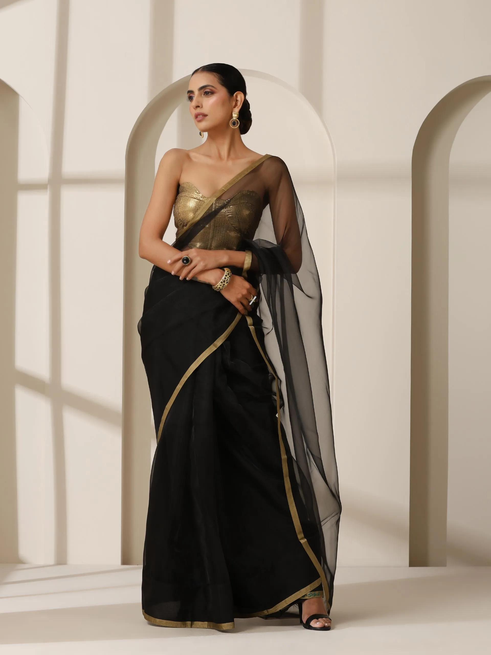 Black Cloud Organza Saree