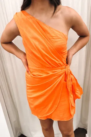 Dannie Mini Dress Orange